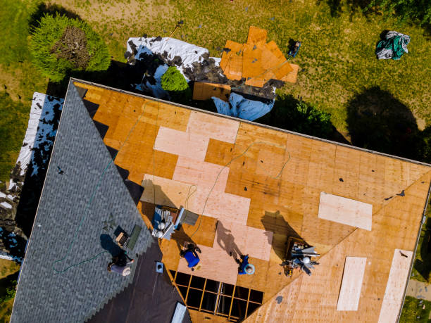 Best Flat Roof Repair Services  in Dunkirk, IN